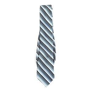 Express Mens Neck Tie Black White Gray Diagonal Stripe Office Business Formal